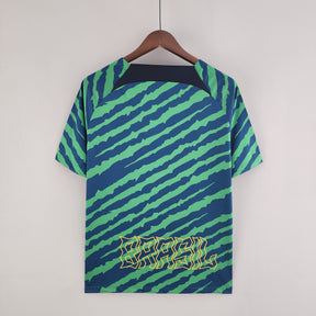 Camisa Seleção Brasil Pré Jogo 2022 - Nike Torcedor Masculina - Verde/Azul