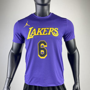 Camiseta NBA Los Angeles Lakers LeBron James 6 DRI-FIT Roxa