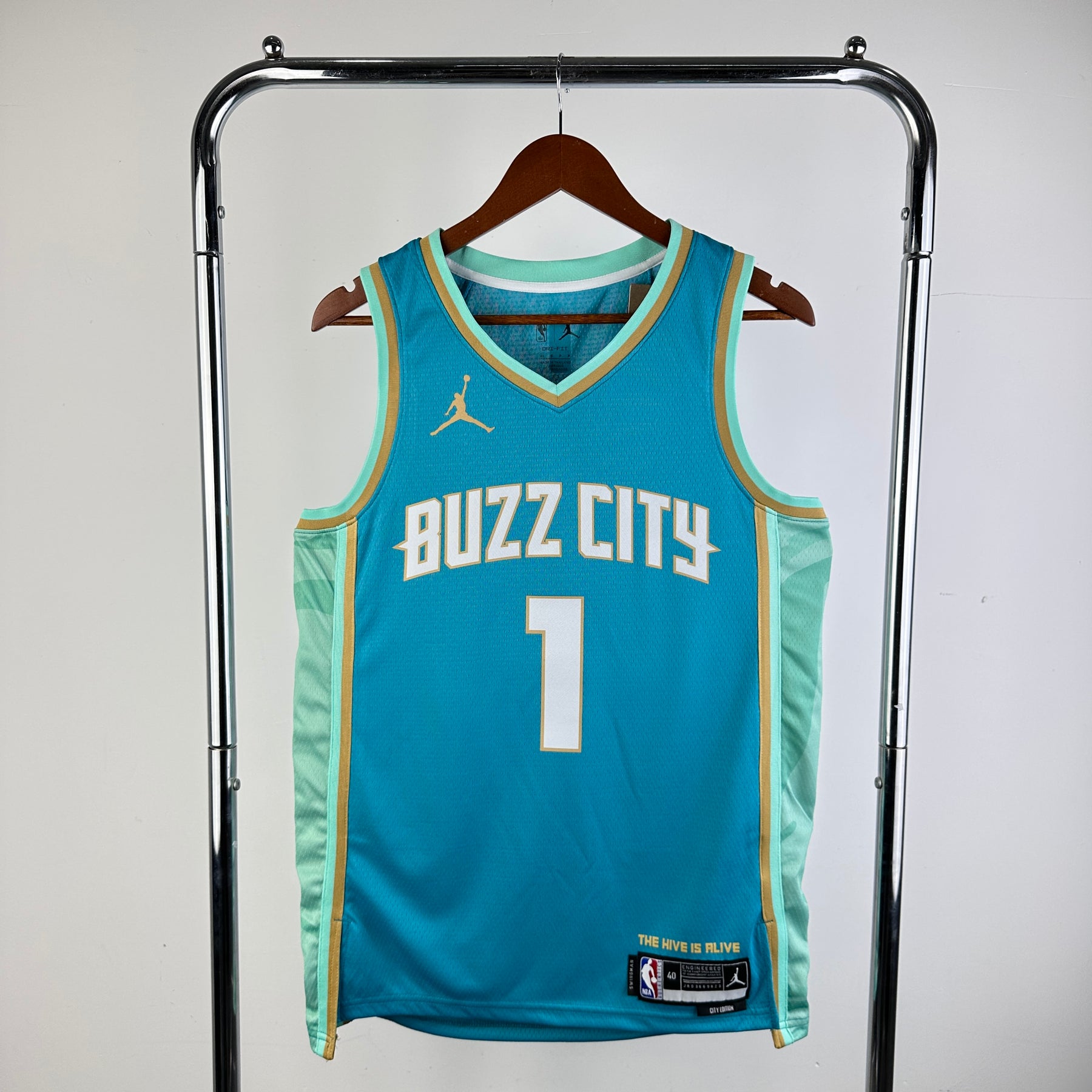 Regata Nike Swingman Charlotte Hornets "Ball" n°1