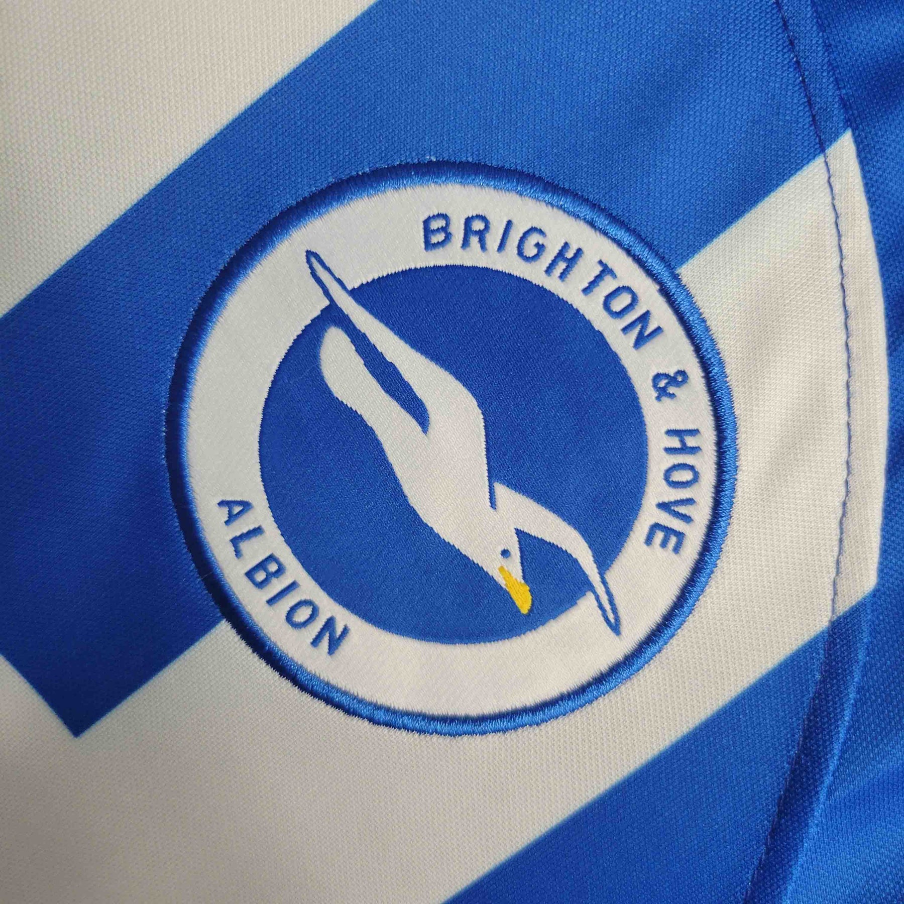 Camisa Brighton Home 2023/24 - Nike Torcedor Masculina - Azul/Branca