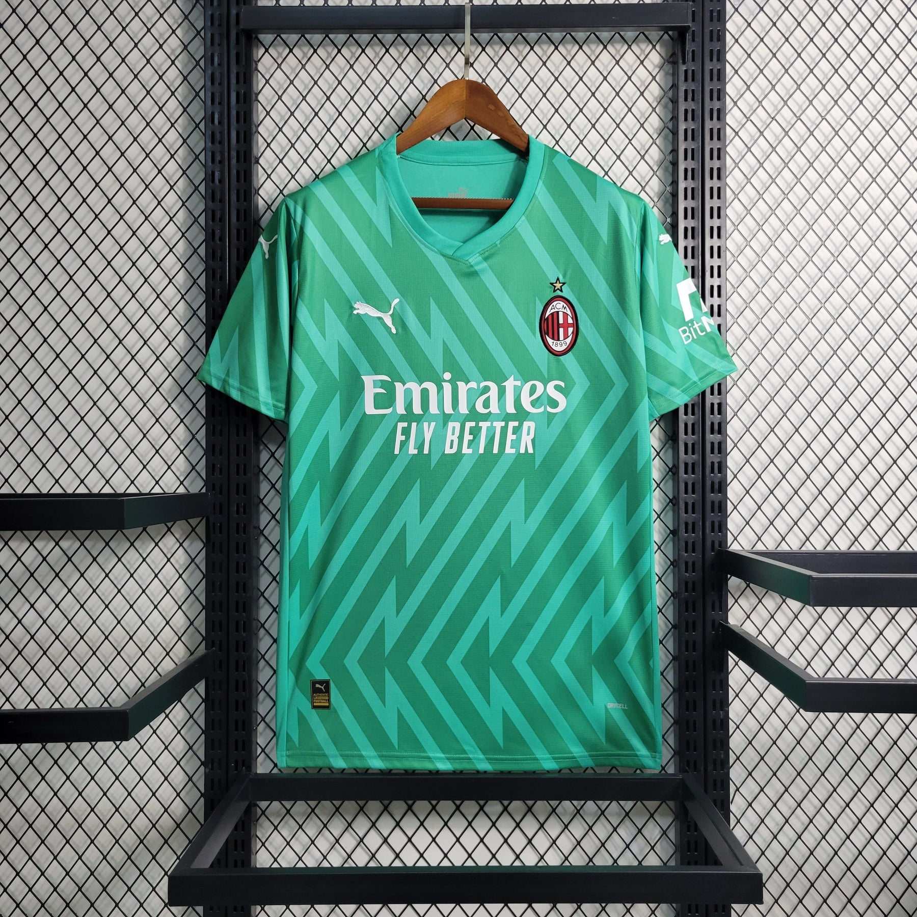 Camisa Milan Goleiro 2023/24 - Puma Torcedor Masculina - Verde