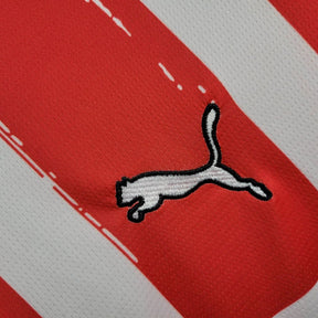 Camisa PSV Home 2024/25 - Puma Torcedor Masculina - Vermelha/Branca