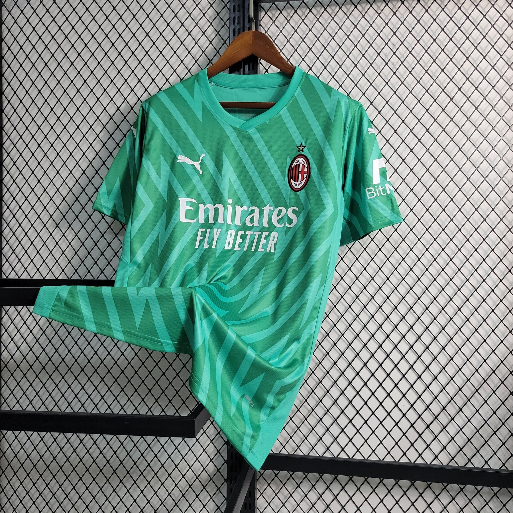 Camisa Milan Goleiro 2023/24 - Puma Torcedor Masculina - Verde