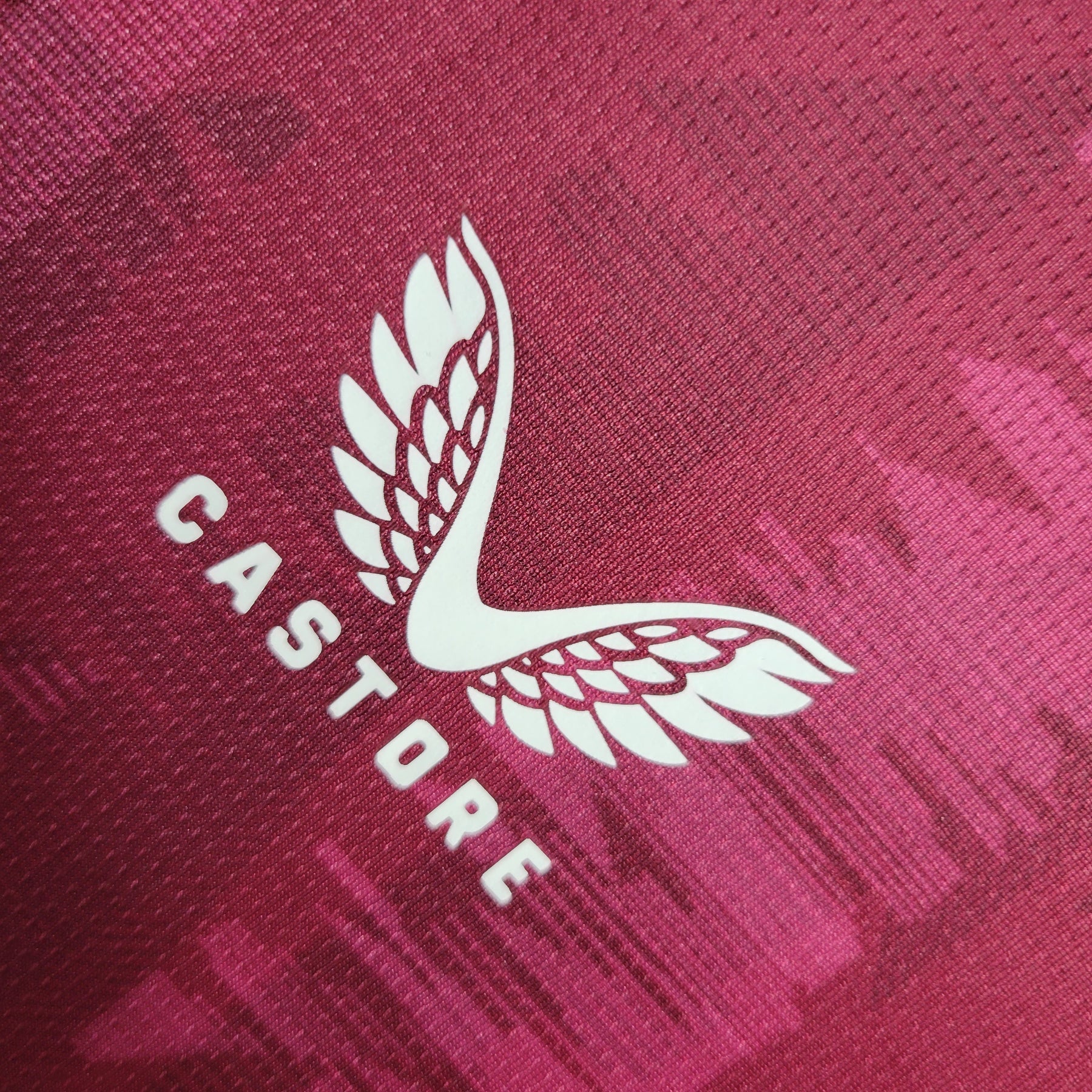 Camisa Aston Villa Home 2023/24 - Castore Torcedor Masculina - Bordo/Azul